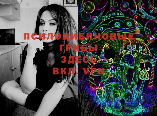 хмурый Бородино