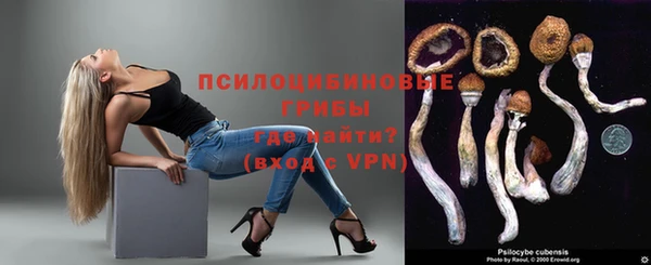 ALPHA-PVP Богородицк